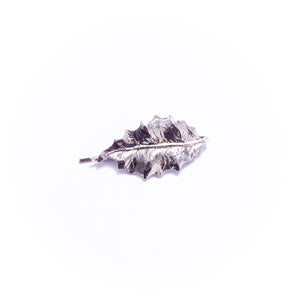 Невидимка Aspen у сріблі Le métal